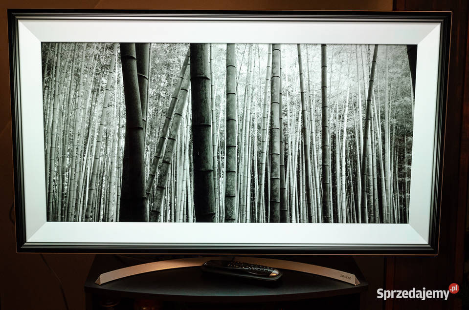 telewizor LG OLED B7 55 OLED55B7V Wrocław