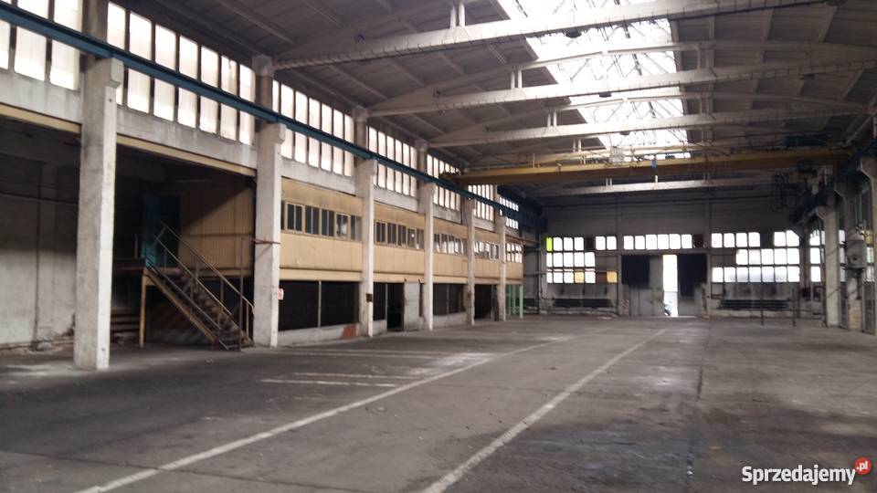 suwnica jednobelkowa elektryczna wielkopolskie Poznań