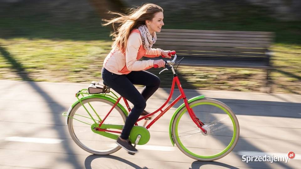 Fajna oldschoolowa damka holenderska PERFORMANCE Kraków sprzedam