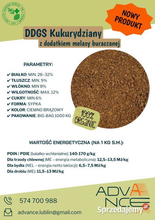 DDGS Jasny i MELASOWANY PASZA WYSOKOENERGETYCZNA Motycz sprzedam