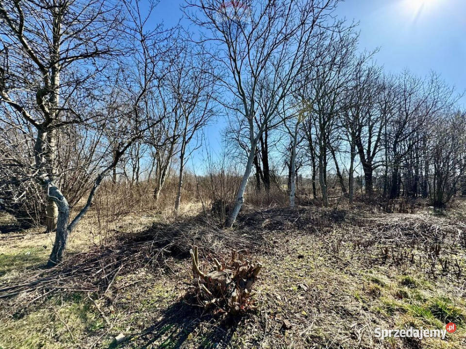 Działka budowlanousługowa Radlin Biertułtowy