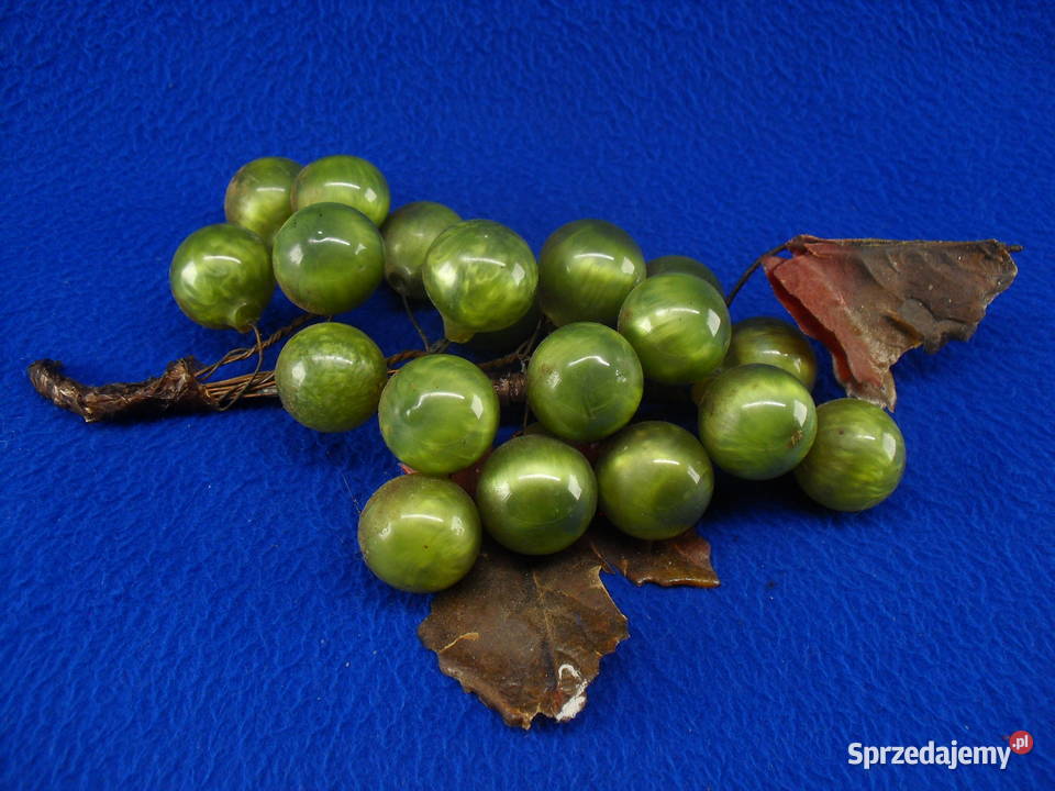 Winogrona ozdobne zielony
