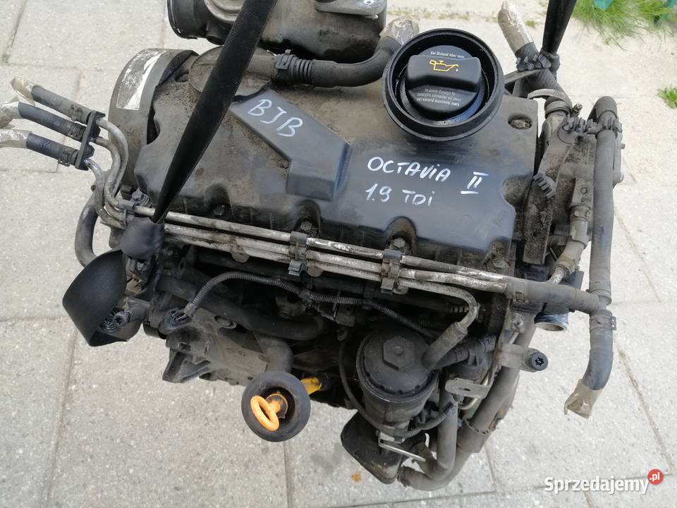Audi Seat Skoda Volkswagen 19 TDi silnik Silniki kompletne śląskie