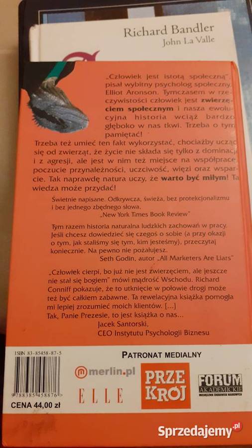 Korporacyjne zwierzę Biznes i Przemysł Szczecin