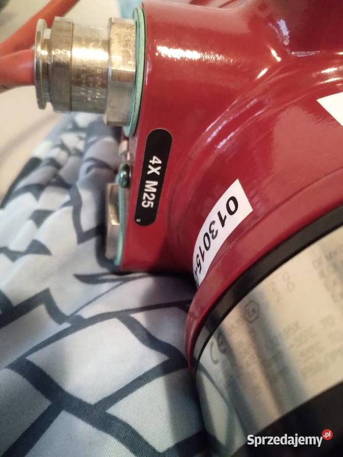 Detektor płomienia DetTronics Przedbórz