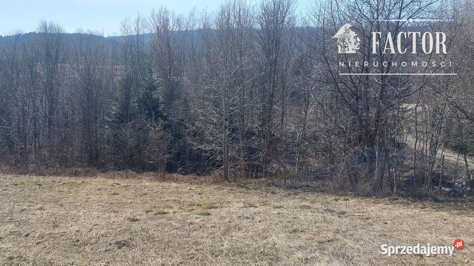 Widokowa działka budowlanorolna 1846 ara Bieśnik