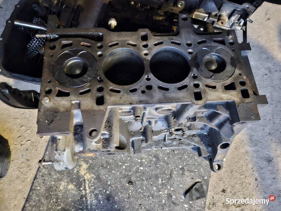 Części do silnika 13 cdti jtd osobowe Trzemeszno