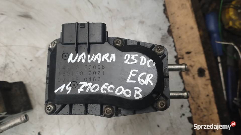 NISSAN NAVARA 25 DCI zawór EGR 14710EC00B osobowe świętokrzyskie Kielce