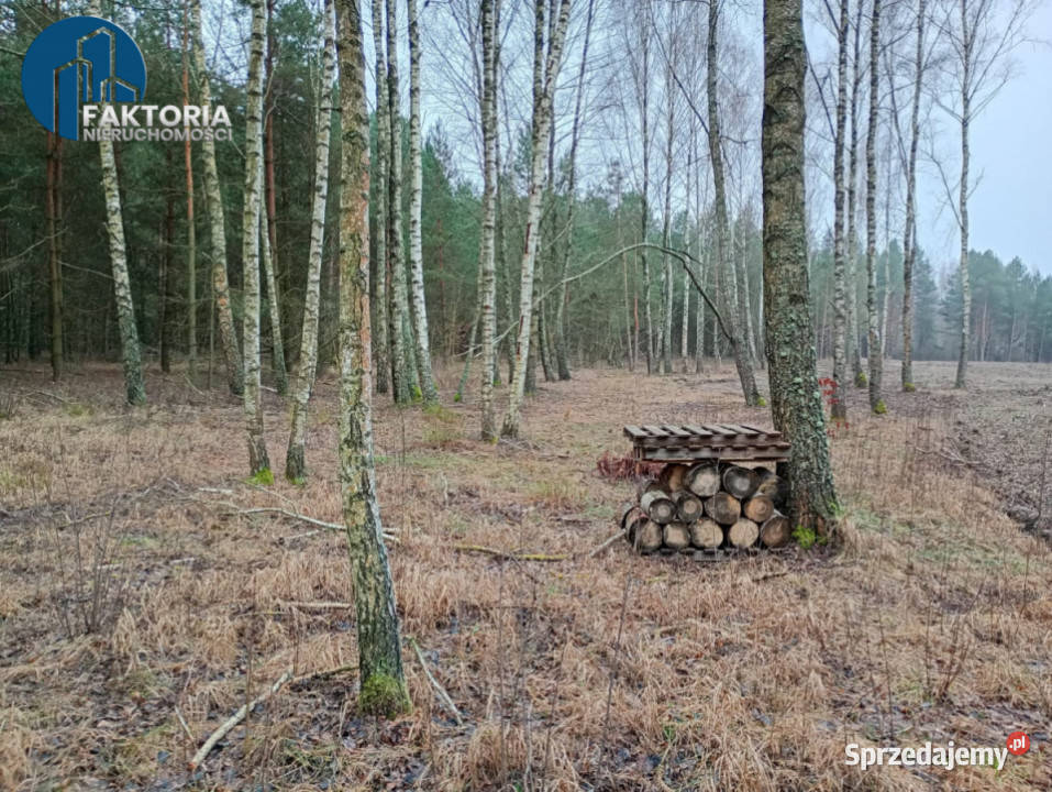 Działka Tarnopol Mostki 960m2 Sprzedaż Bołtryki sprzedam