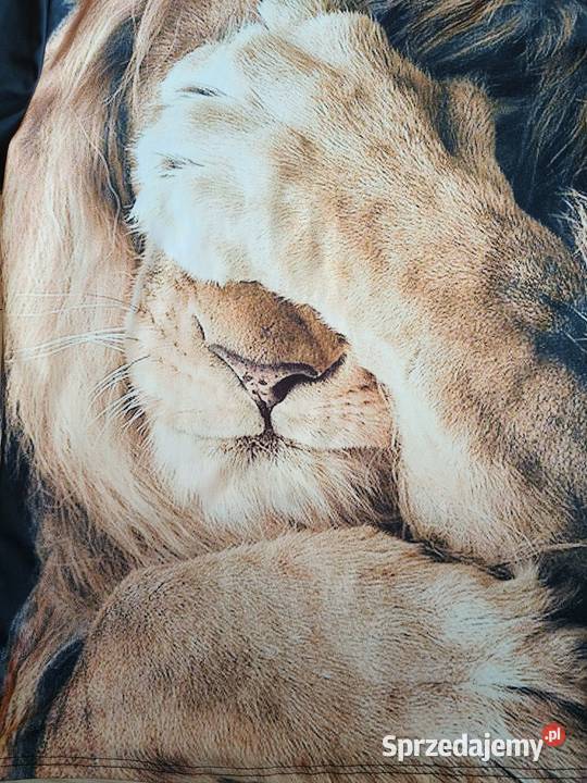 T shirt męski z nadrukiem lwa Gdańsk