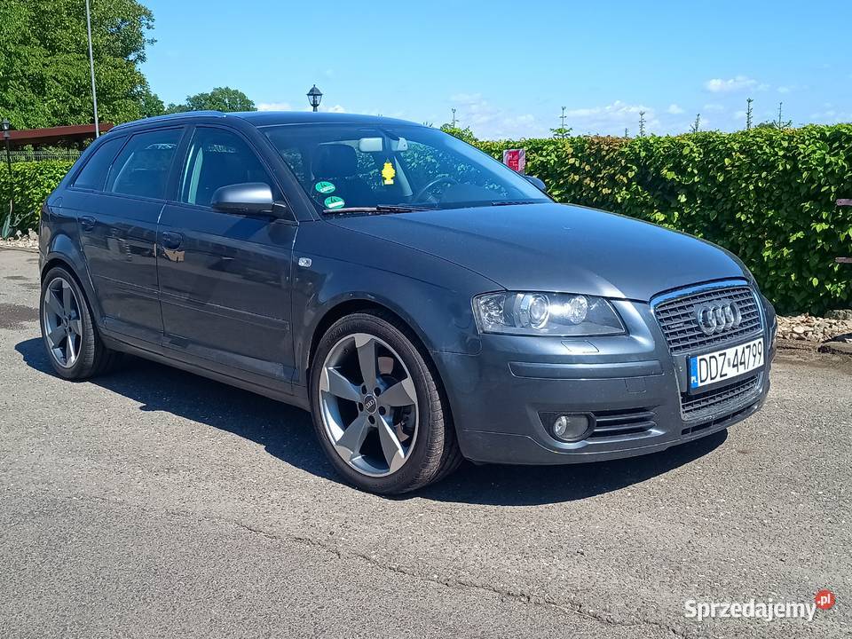 Audi A3 8P 20 TDI 170 Quattro Panorama dolnośląskie sprzedam