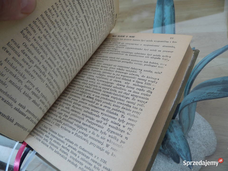 Walki religijne w Polsce Hrabia Waleryan Radzewice