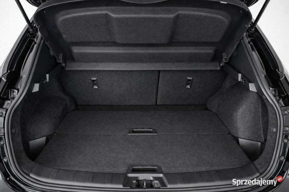 Nissan Qashqai II 20132021 4/5 wielkopolskie Sadlno