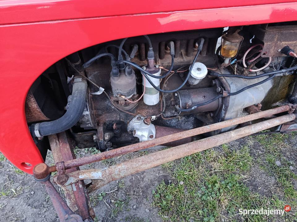 Ferguson tea 20 Kalisz