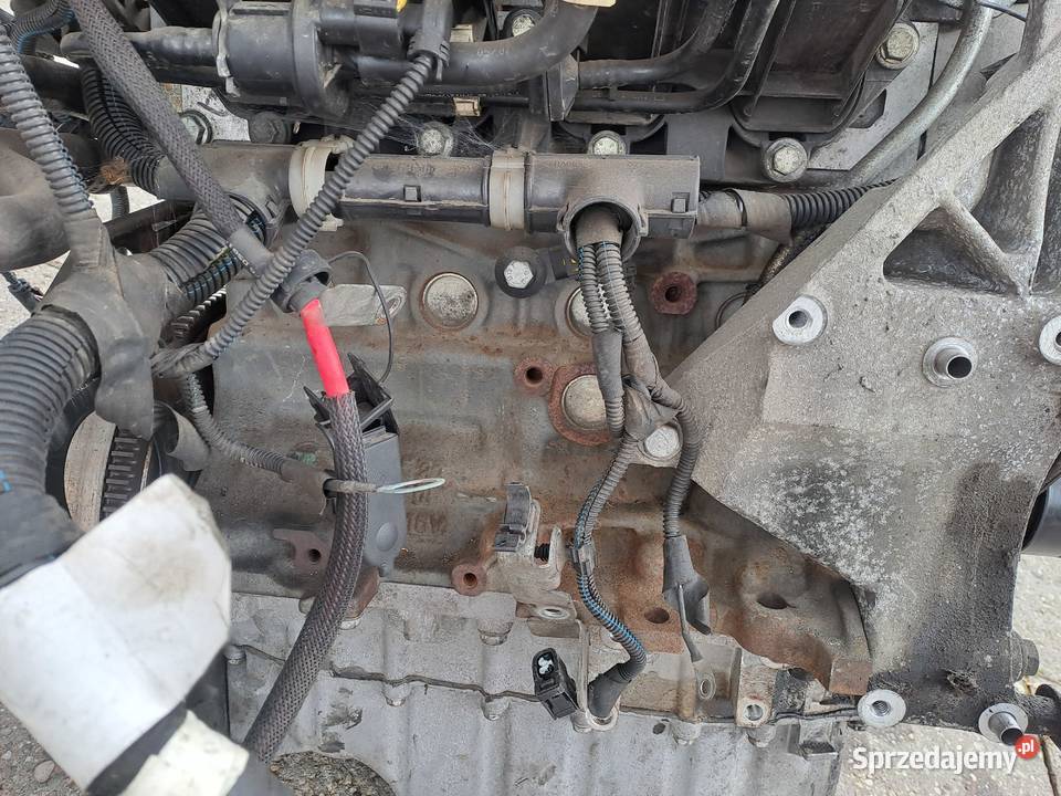 Fiat Bravo II 14 TJet 150 silnik kompletny kod Jastrzębie-Zdrój