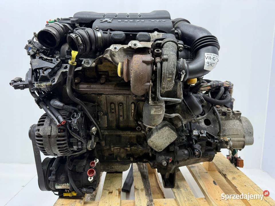 SILNIK 9HZ Citroen C2 C3 C4 Picasso Berlingo 16 Chełm