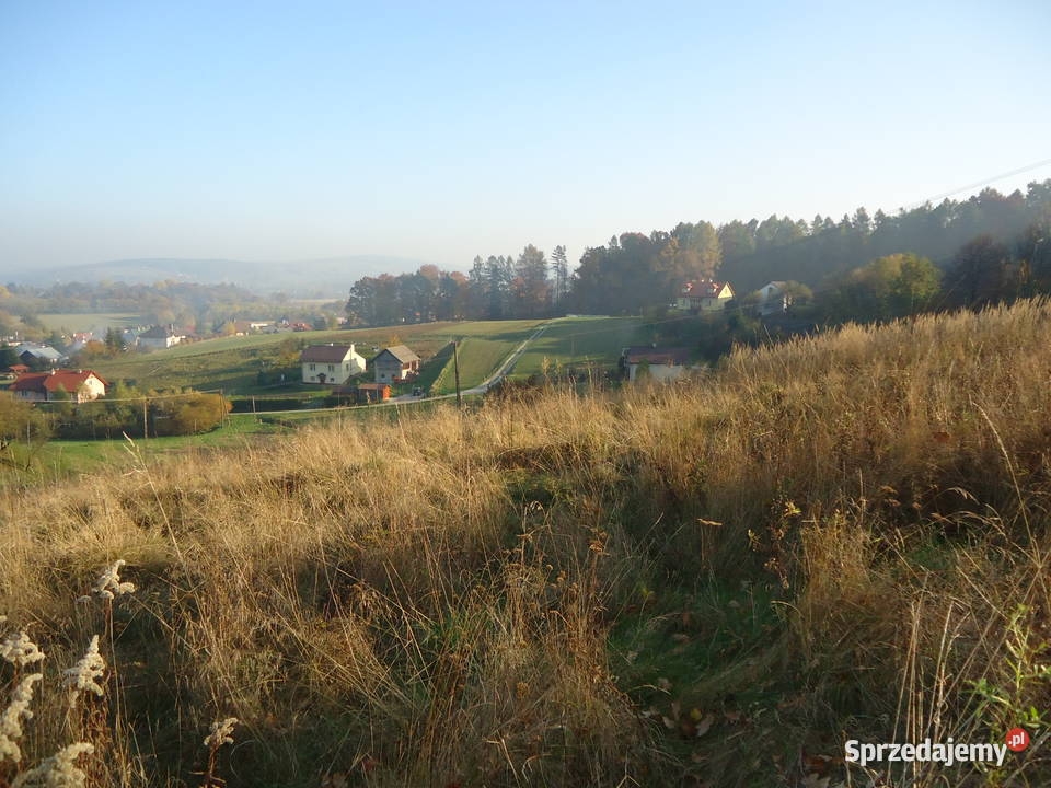 Sprzedam działki widokowe w Przedmieściu
