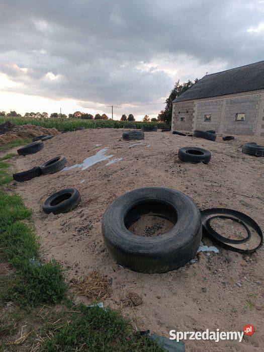 Kiszonka z lucerny mazowieckie Drobin