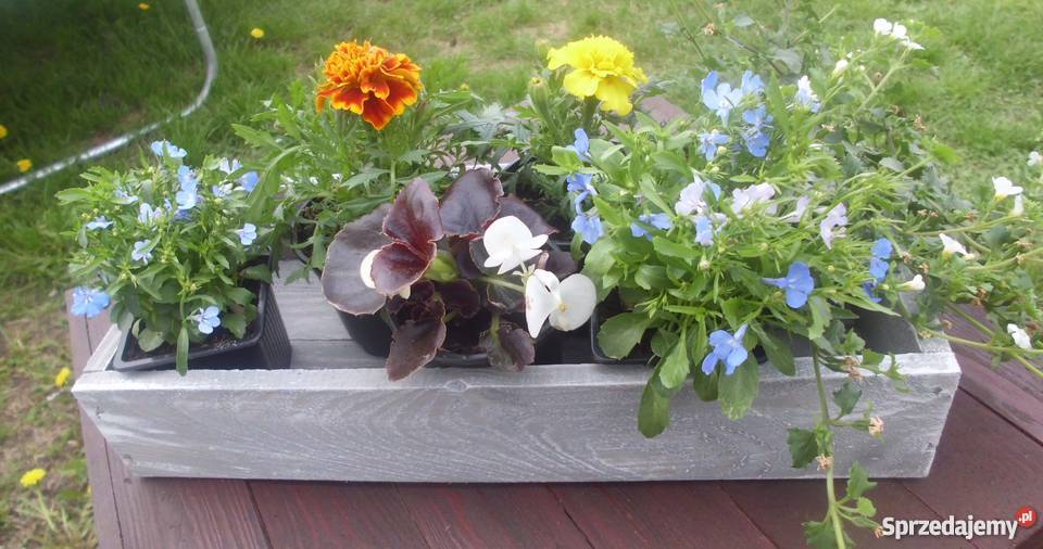 Donica drewniana Grodziec