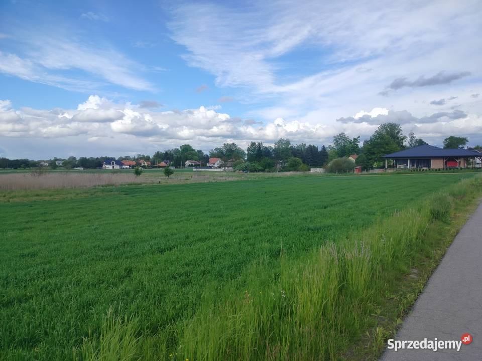 Działka 30 arowa w Głuchowie k Łańcut woj podkarpackie