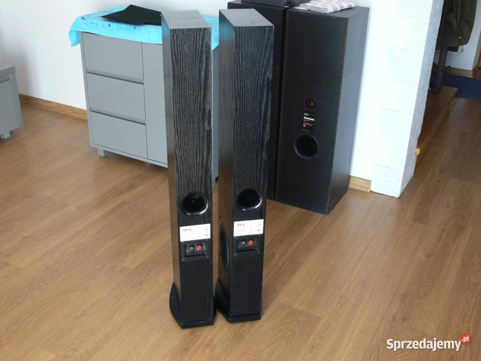 Mocne kolumny AEG 2 x 480 wat WYSYŁKA Słuchawki i głośniki podkarpackie