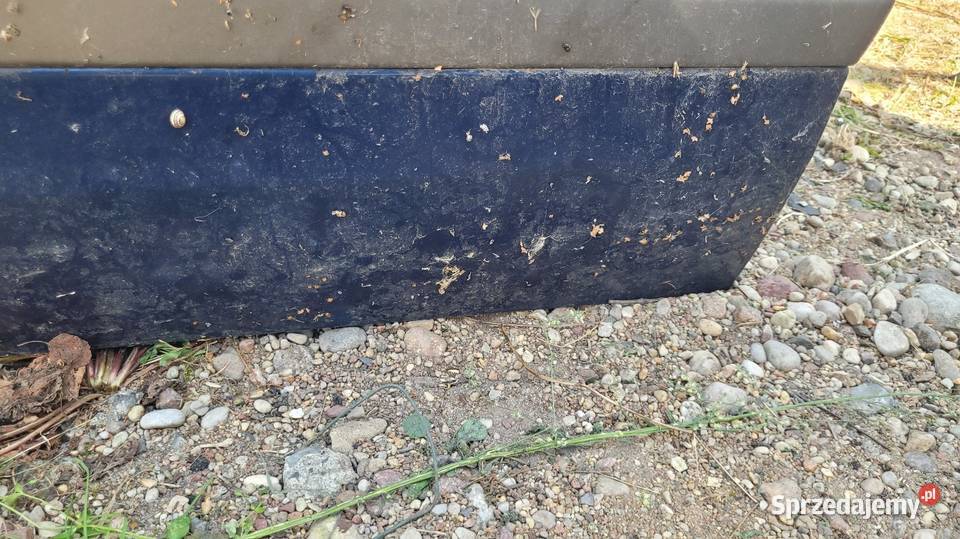 Drzwi Renault Laguna II Łagów