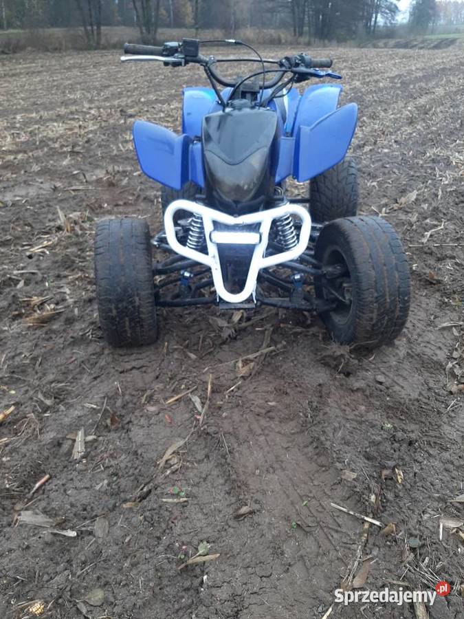 quad atv eagle bashan 250 Jaworze
