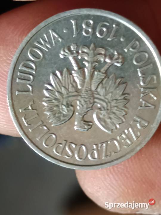 Sprzedam 20 gr 1981 r Chełm
