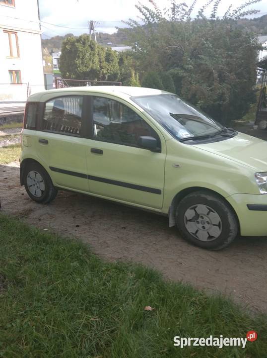 Fiat panda 11