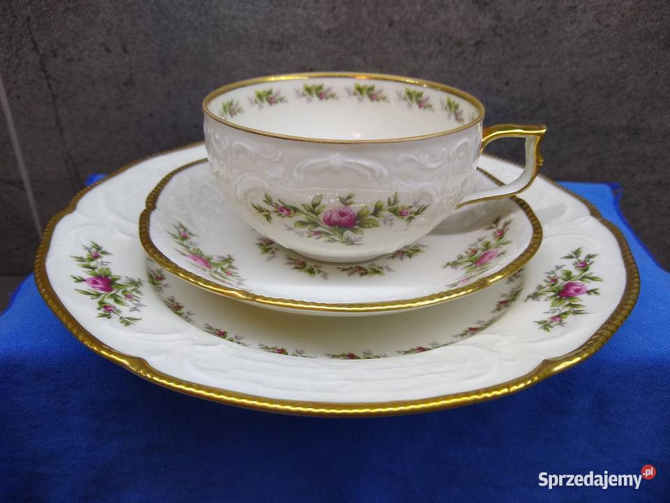 Filiżanka herbata Rosenthal Sanssouci Moosrose Porcelana i szkło