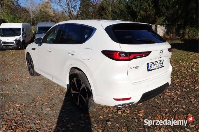 MAZDA CX60 2023 2488 ccm 191