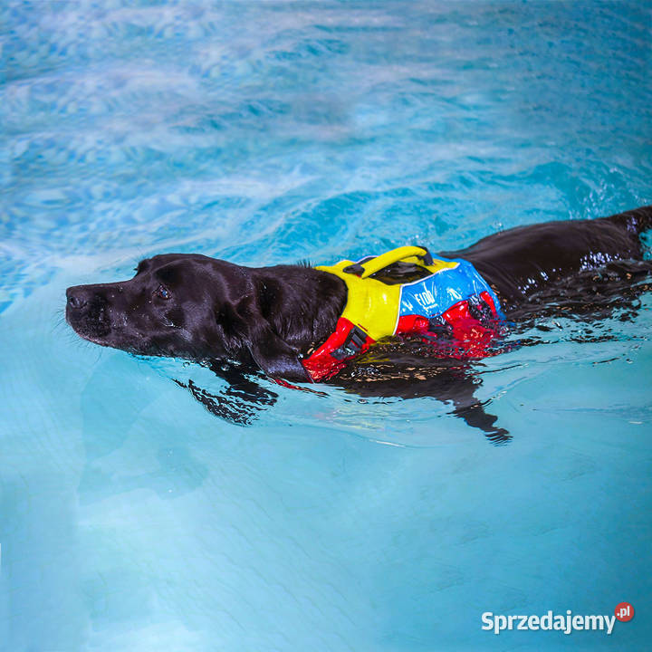 Kamizelak ratunkowa psa Fido Spinlock