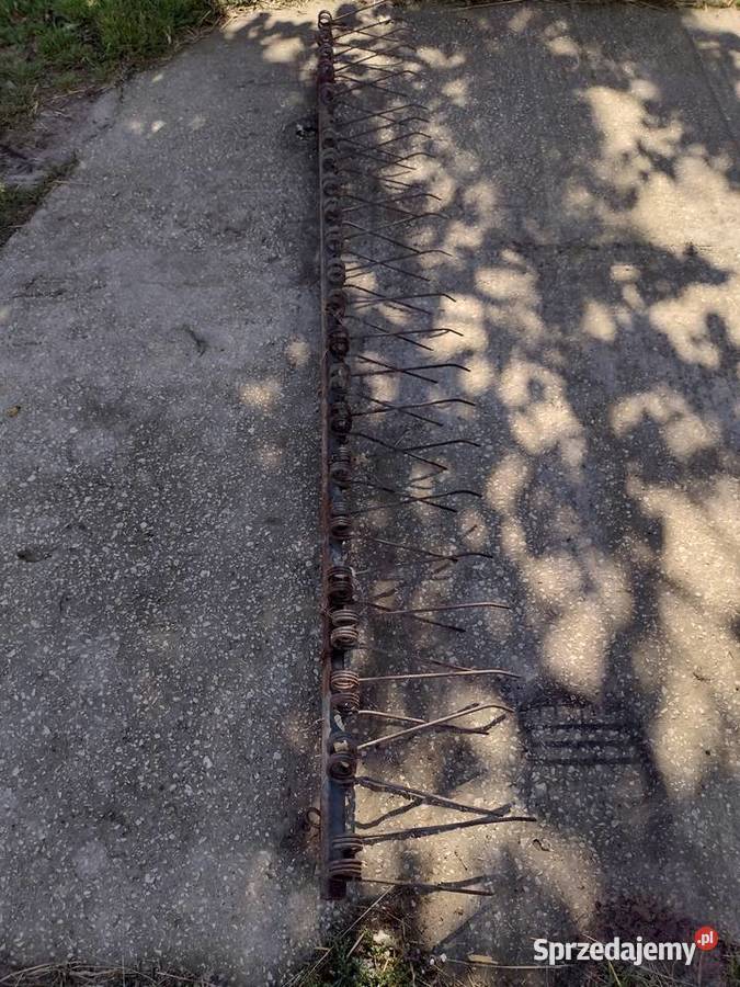 Zagarniacze poznaniak Opoczno