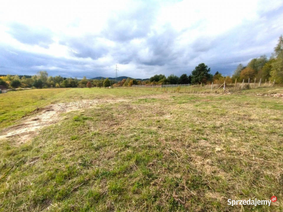 sprzedaży działki Daleszyce 799m2