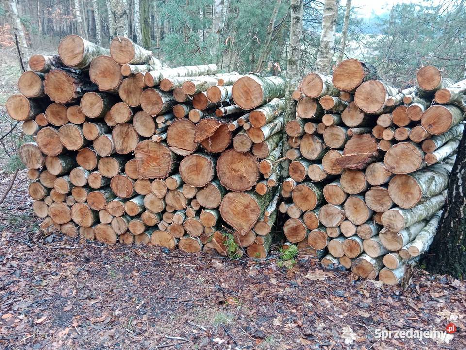 Brzoza drewno opałowe Nowa Jastrząbka