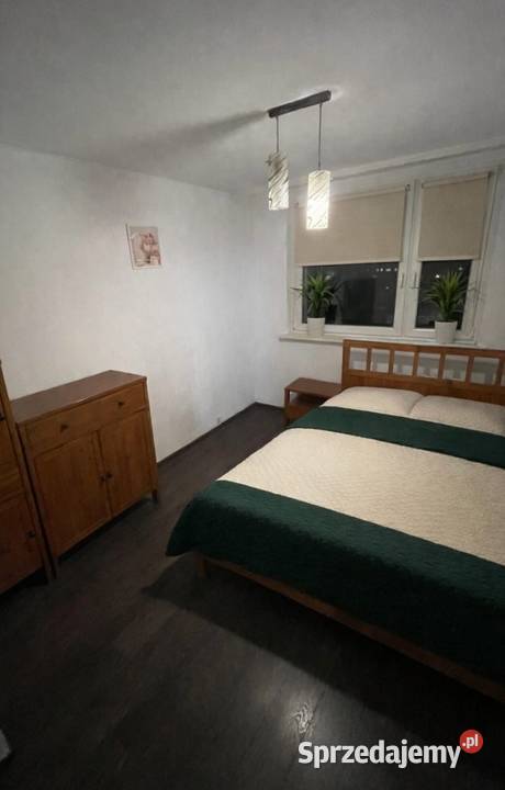 Mieszkanie do wynajęcia RybnikNowiny Rybnik