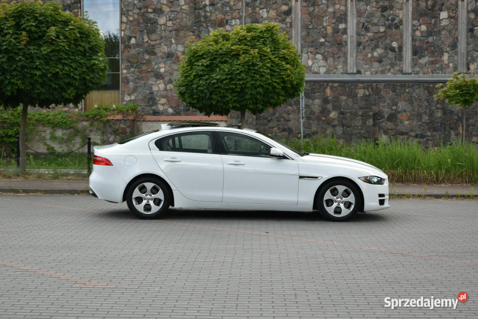 Jaguar XE 25T 20T 250 2018r Skóra Panorama I Kampinos