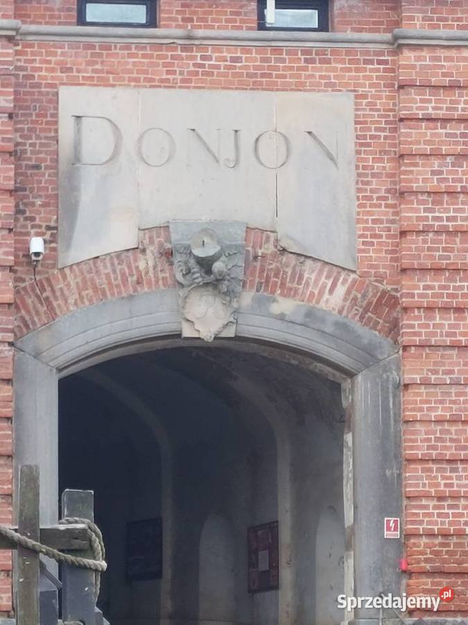 Świder ziemny Pozostałe Wir sprzedam