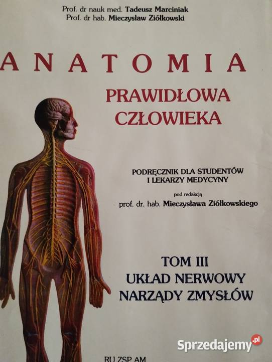 ANATOMIA POPRAWNA CZŁOWIEKA tom 13 Olkusz