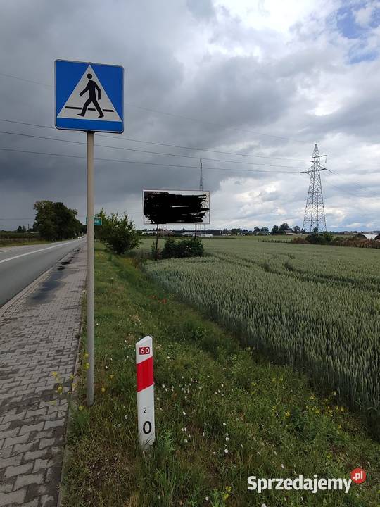 Wynajmę reklamę Kutno