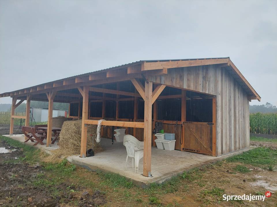 Stajnia do demontażu Dąbrowa Tarnowska sprzedam