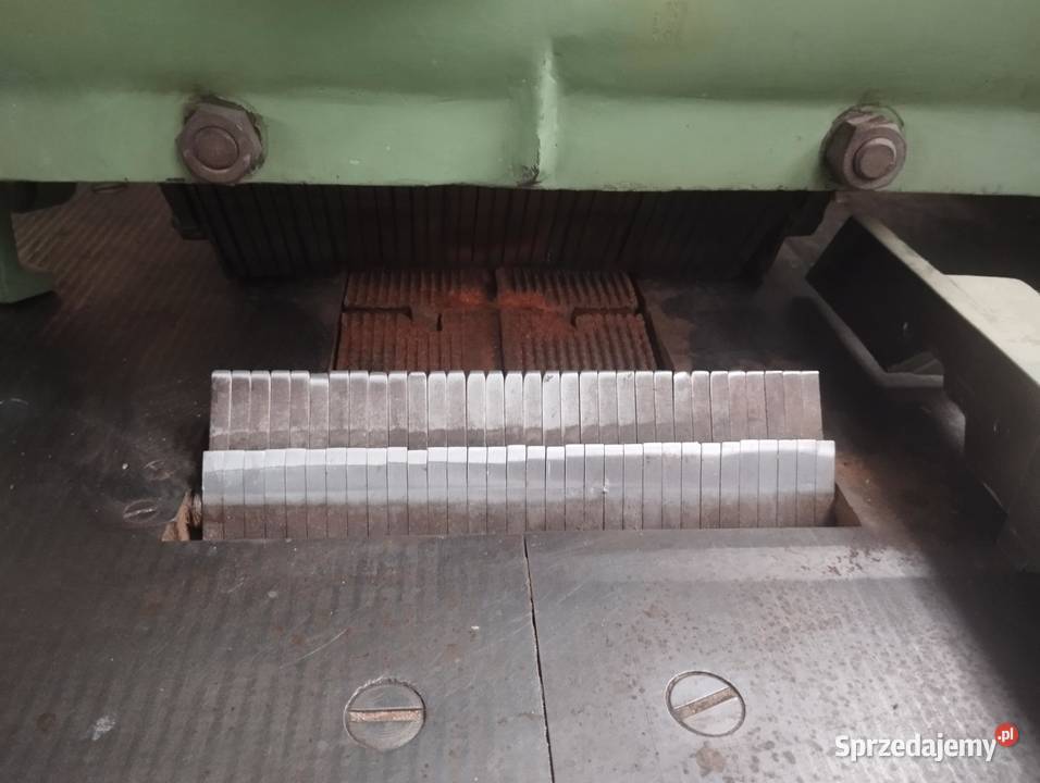 Piła stołowa Raimann K1 Wejherowo