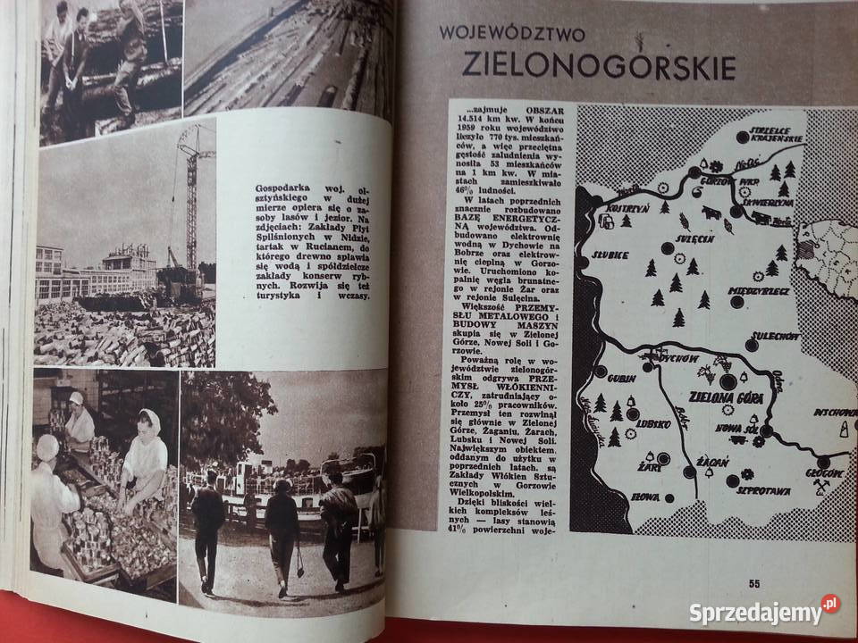 2919 Polska Jest Jedna Rocznik Ziem Zach i Płn zachodniopomorskie sprzedam