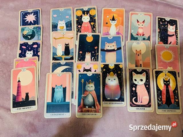 Karty The Meow Tarot Warszawa