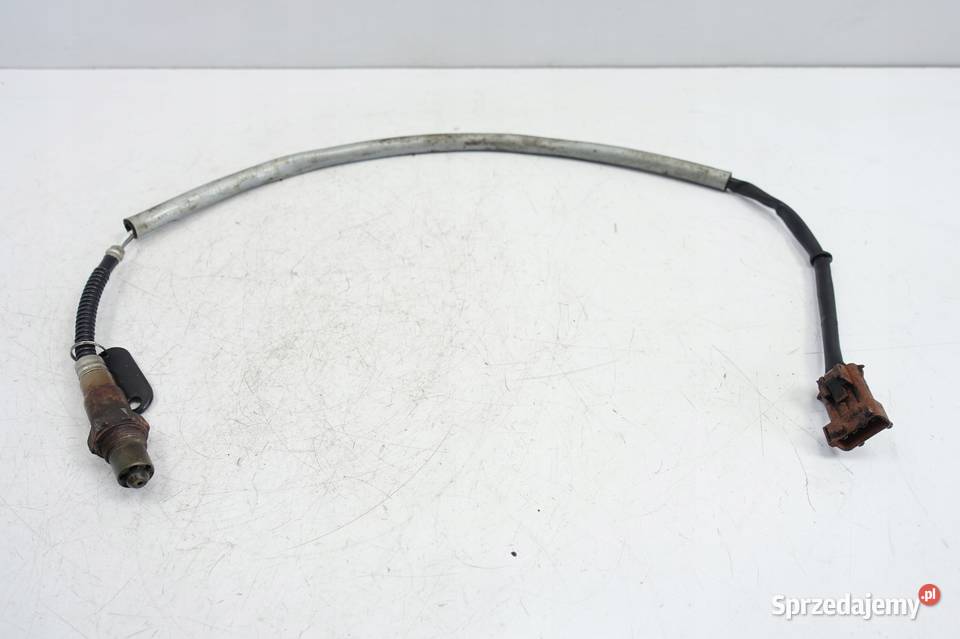 Saab 93 II 20 T SONDA LAMBDA 0258006624 oryginał lubelskie