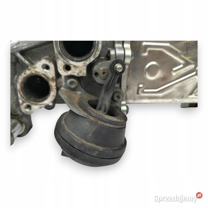 CHŁODNICA SPALIN egr VW Audi A3 8P Passat B7 16 osobowe Chełm