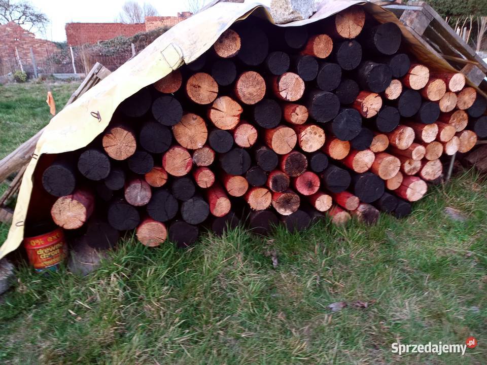 słupki słupy ogrodzeniowe drewniane sosnowe drewno Szczecin