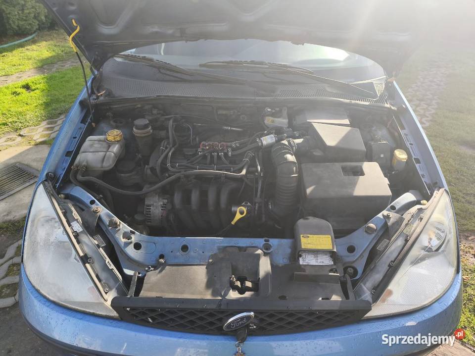 Ford Focus Mk1 14 lpg Ford Cieciułów