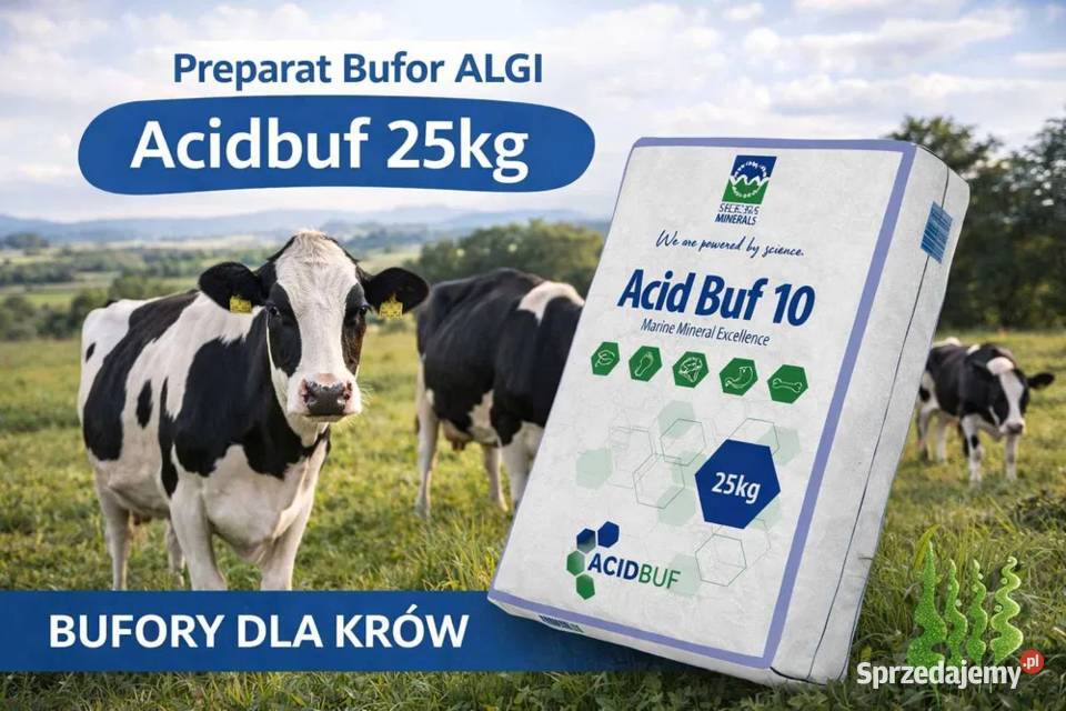 Preparat Bufor ALGI Acidbuf bydła krów bufory Olsztyn