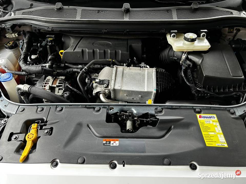 Ford Galaxy 20 EcoBlue Titanium Nowy Świętów
